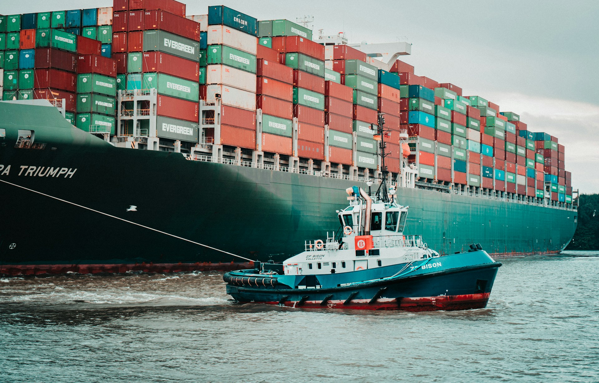 Operations & Supply Chain